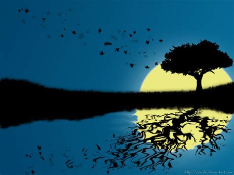 tree reflection by vxside on DeviantArt