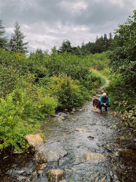 Take a Hike on the Carter Lake Trail Near Seward, Alaska