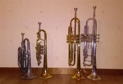 Cornet vs. Trumpet – What’s the Difference Between Them? | My Best Trumpet