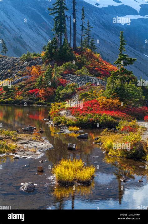 Mount Baker-Snoqualmie National Forest, Washington Fall colors around ...