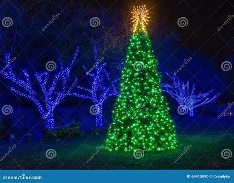 Outdoor Illuminated Christmas Tree Stock Photo - Image of outdoor, tree ...