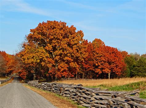 Pea Ridge National Military Park | Find Your Park