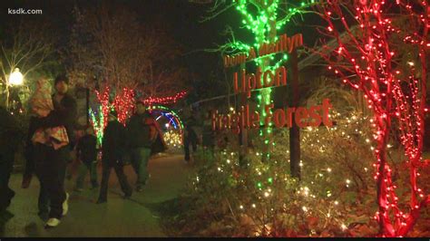 Saint Louis Zoo Wild Lights returns in 2020 | ksdk.com