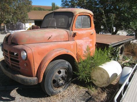 1950 dodge truck | The H.A.M.B.