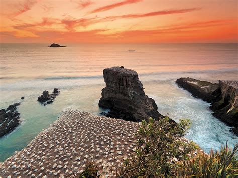 Life's a Beach at Muriwai