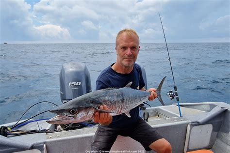 Narrow-barred Spanish Mackerel - One Ocean Big Game