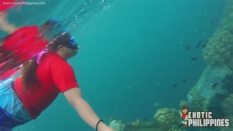 Snorkeling Above the Lusong Gunboat Shipwreck of Coron