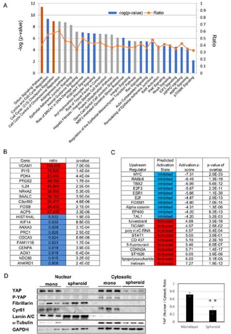 Gene expression analysis using serial analysis of gene expression ...