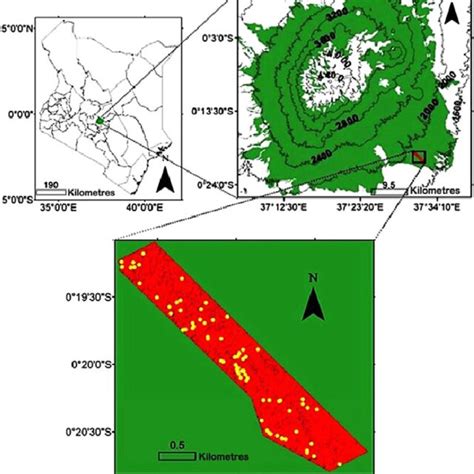 Maps of the study area in the Mount Kenya Forest Reserve showing the ...