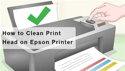 Print Head Cleaning Solution for Epson Printer | Epson printer, Cleaning solutions, Printer