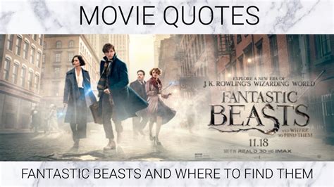 Fantastic Beasts and Where to Find Them - Movie Quotes | Quotes 5 - YouTube