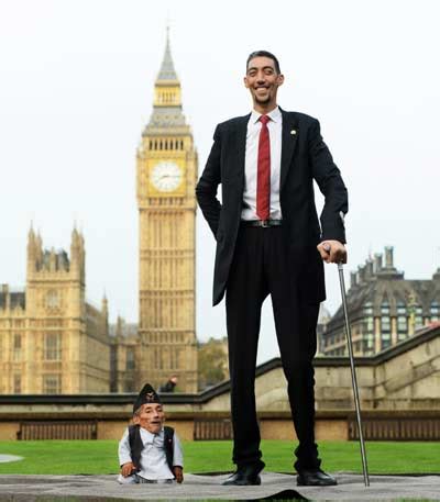 Top 10 Tallest People in the World 2023 (Men & Women)