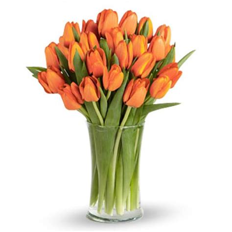 20 Orange Tulips Send Bouquet Manila Philippines