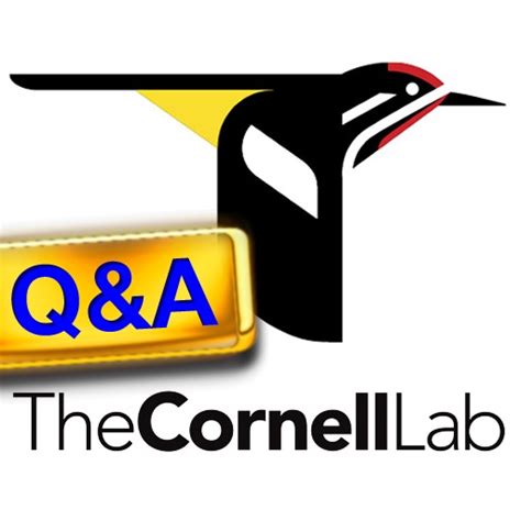 CornellLab Bird Q&A: Your birding questions answered by Tipitap Inc.