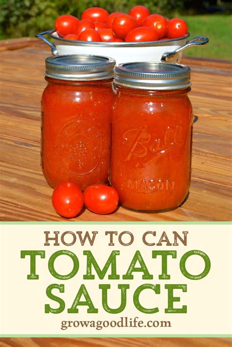Seasoned tomato sauce – Artofit