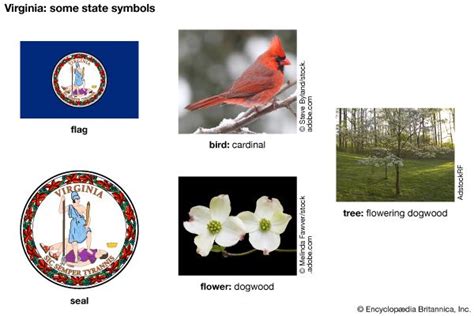 Virginia state symbols - Kids | Britannica Kids | Homework Help