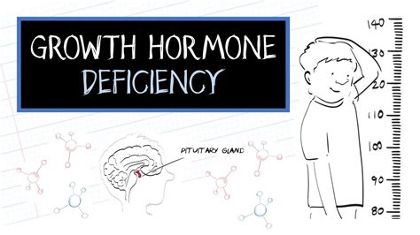 How Tall Are Growth Hormone Deficiency Patients? Best 8 Answer ...