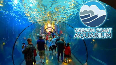 Oregon Coast Aquarium Walkthrough Tour | Sharks, Sea Lions, Touch Tanks & More! - YouTube