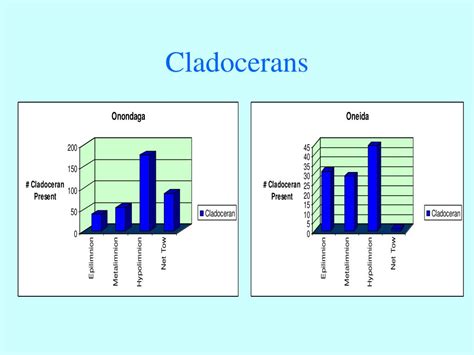 PPT - Cladocerans PowerPoint Presentation, free download - ID:3952657