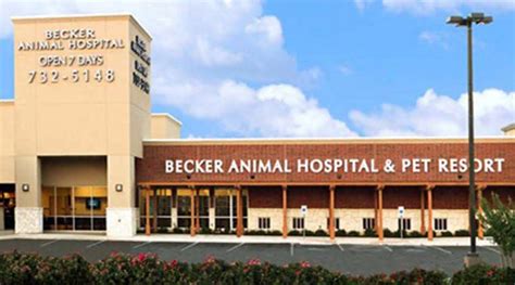 Homepage Hospital Picture of VCA Becker Animal Hospital | Animal ...