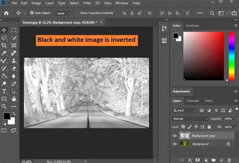 How to invert black and white in Photoshop 2023 | step by step