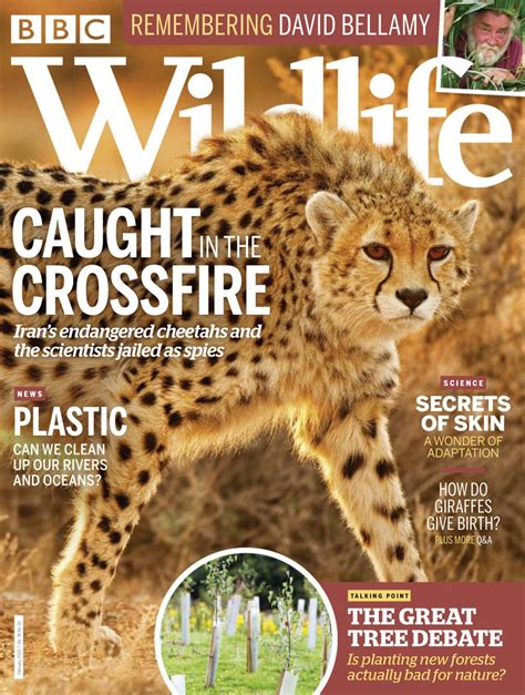 BBC Wildlife-February 2020 Magazine - Get your Digital Subscription