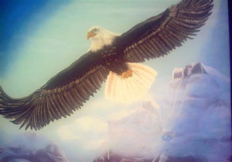 Soaring Eagle Painting by Kathern Ware