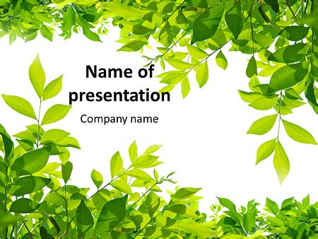 Best Leaves PPT Template Presentation Slide Design | ubicaciondepersonas.cdmx.gob.mx