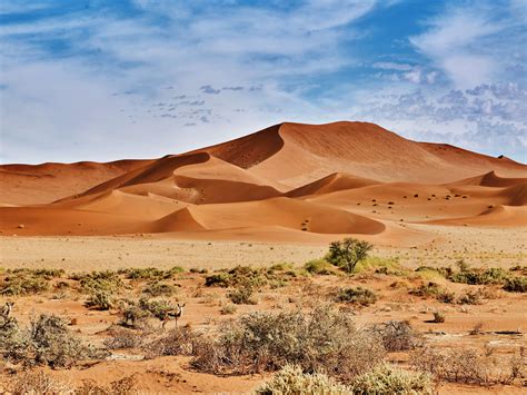 desert of namib with orange dunes | Pointe du Monde