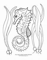 Adult Coloring Pages Free Seahorse sketch template