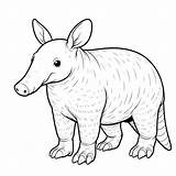 Aardvark Coloring Pages 3  Gem sketch template