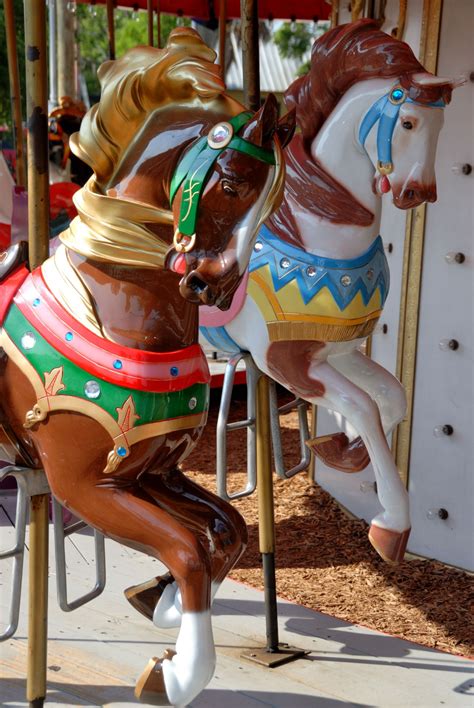 Merry Go Round Horses Free Stock Photo - Public Domain Pictures