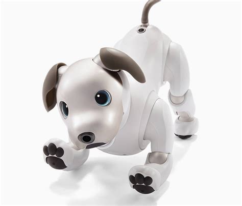 sony’s new chocolate aibo will act as watchdog over your home