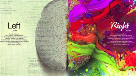 Left Brain Right Brain Wallpapers - Wallpaper Cave