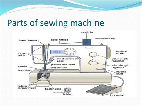 Sewing Machine Parts Diagram | Quizlet