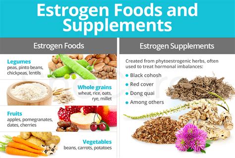 There are many estrogen-packed foods and supplements women can take advantage of to help restore ...