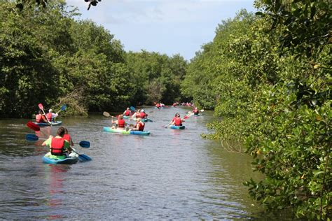 Nanan’s Caroni Bird Sanctuary Tours launches our Kayak Services ...