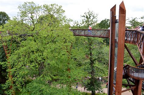 Kew Gardens Treetop walkway – a wobbly load of fun in west London