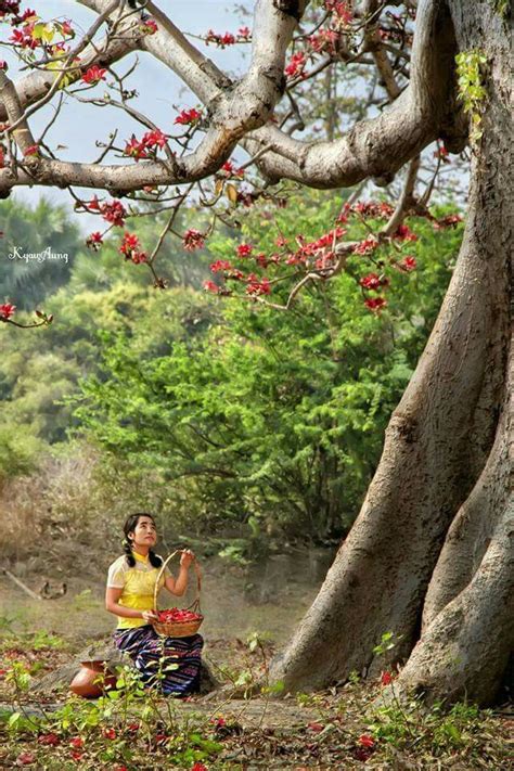 Myanmar Countryside Photos | Countryside photos, Landscape photography ...