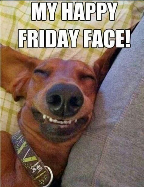 Friday Dog Memes