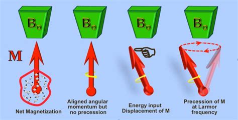 Precession of Magnetization - Questions and Answers in MRI