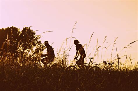 Free Images : nature, horizon, silhouette, people, sunset, field, sunlight, morning, bicycle ...