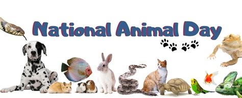 Every day is a National Animal Day! - Huggle Pets News - HugglePets