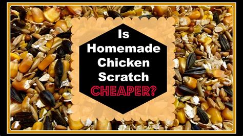 How to Make Homemade Chicken Scratch Feed - Pet Food Guide