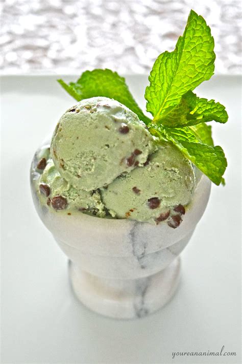 Mint Chocolate Chip Ice Cream (Dairy-Free, Paleo) - You're An Animal.