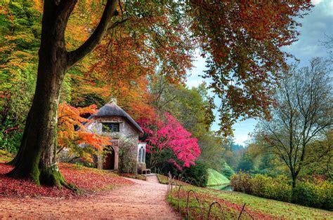 fall, Garden, Cottage, Leaves, Trees, Lawns, Shrubs, Pink, Green, Orange, Path, Moss, Nature ...