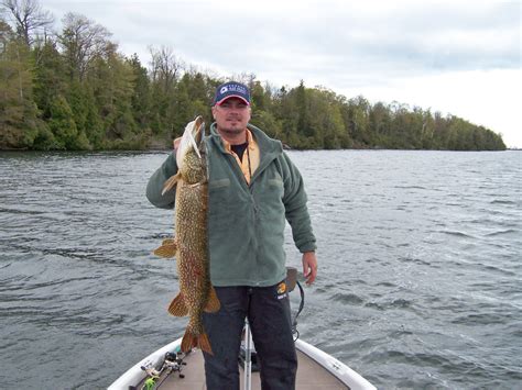 The Early Season Offers Great Fishing for Northern Pike - FishNY