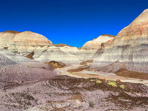 Hike the Historic Blue Forest Trail - WildPathsAZ