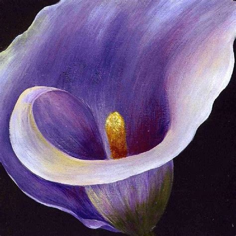 Lavender Calla Lily by Tracey Harrington-Simpson