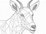 Mountain Goat Coloring In Detail  Page sketch template